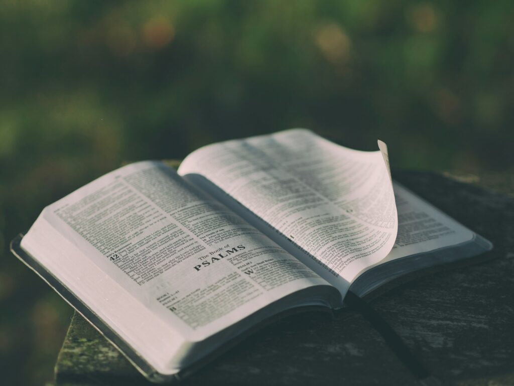 aaron-burden-c333d6YEhi0-unsplash